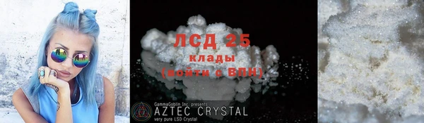 сатива Каменногорск