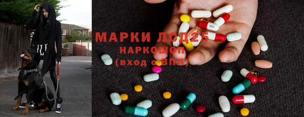 винт Козельск