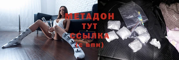 прущие грибы Покровск